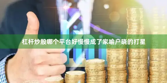 杠杆炒股哪个平台好慢慢成了家喻户晓的打星