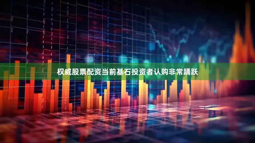 权威股票配资当前基石投资者认购非常踊跃