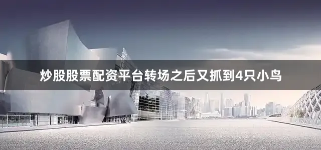 炒股股票配资平台转场之后又抓到4只小鸟